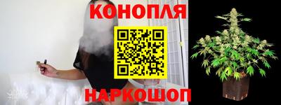 дурь Камышлов